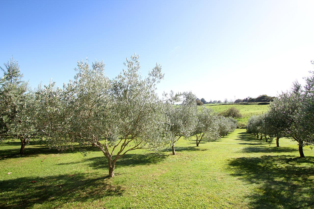 Bed and Breakfast Ohaupo Olives Exterior foto