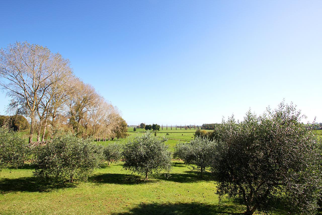 Bed and Breakfast Ohaupo Olives Exterior foto